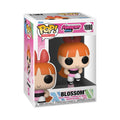 Funko Pop: Animation - Powerpuff Girls - Blossom #1080 - Nerd Blvd