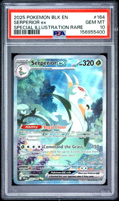 2025 POKEMON BLK EN-BLACK BOLT #164 SERPERIOR ex SPECIAL ILLUSTRATION RARE PSA 10